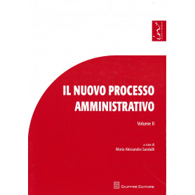 Il nuovo processo amministrativo. Studi e contributi. Volume 2°