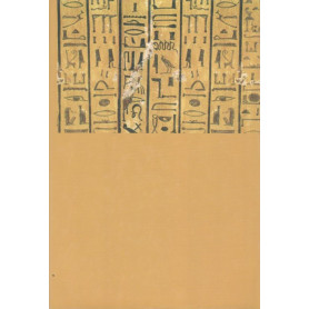 Librisaggi