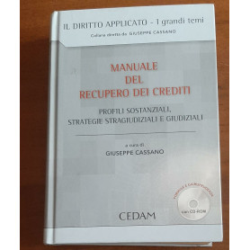 Manuale del recupero dei crediti. Profili sostanziali