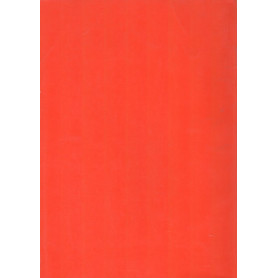 Librisaggi