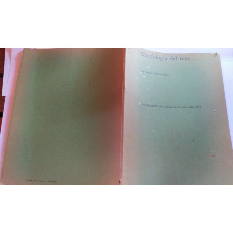 Morfologia del rene  Volume I