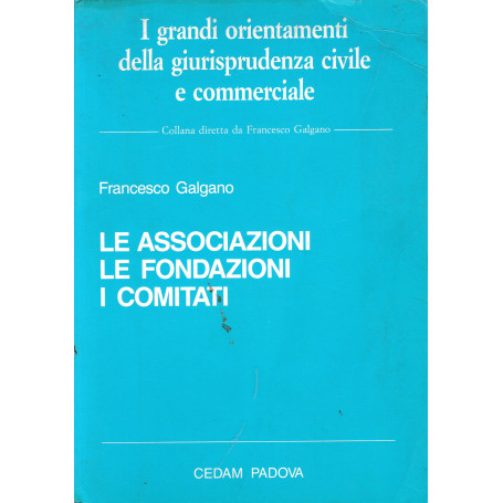 Le associazioni. Le fondazioni. I comitati