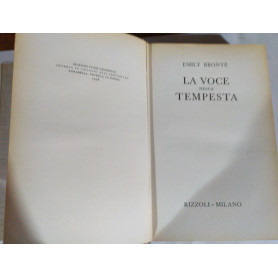 La voce nella tempesta